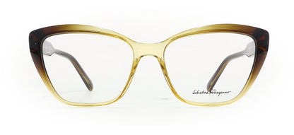 Image of Salvatore Ferragamo Eyewear Frames