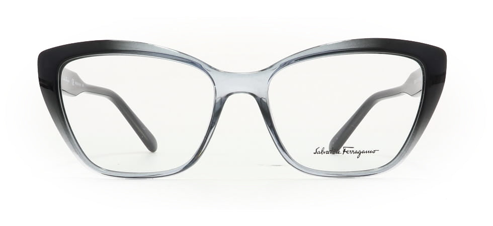 Image of Salvatore Ferragamo Eyewear Frames