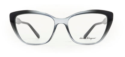 Image of Salvatore Ferragamo Eyewear Frames
