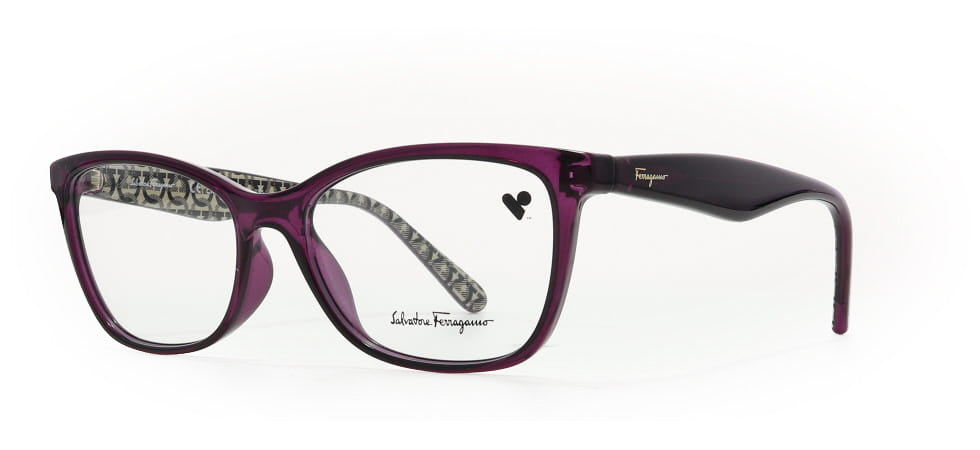 Image of Salvatore Ferragamo Eyewear Frames