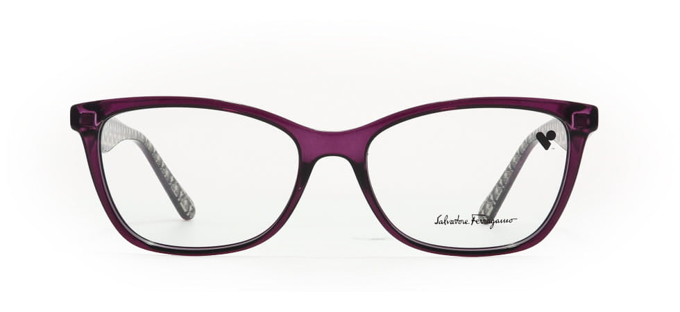 Image of Salvatore Ferragamo Eyewear Frames