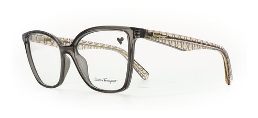 Image of Salvatore Ferragamo Eyewear Frames