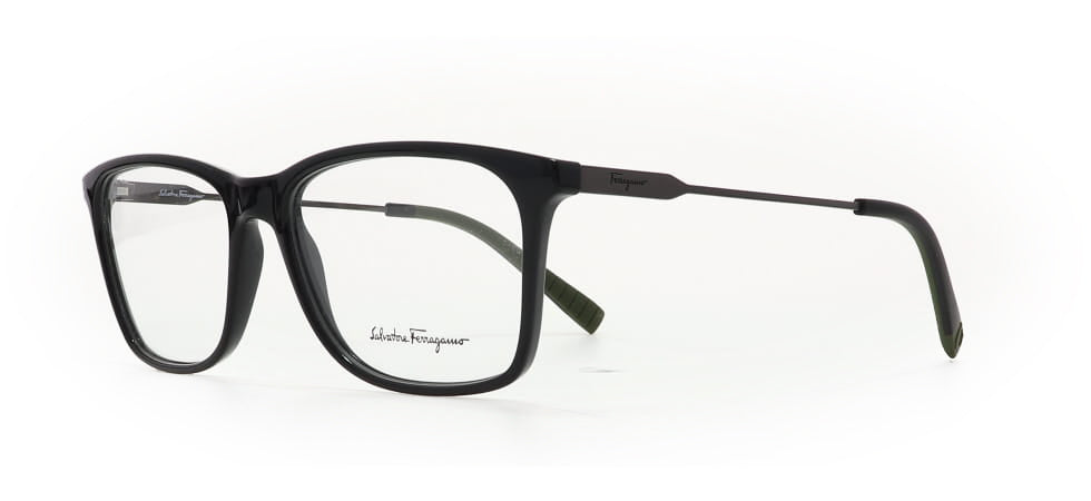 Image of Salvatore Ferragamo Eyewear Frames