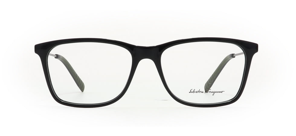 Image of Salvatore Ferragamo Eyewear Frames