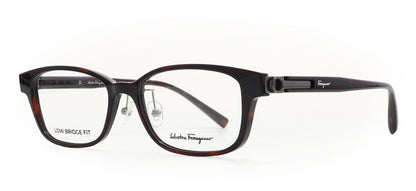 Image of Salvatore Ferragamo Eyewear Frames