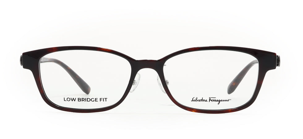 Image of Salvatore Ferragamo Eyewear Frames