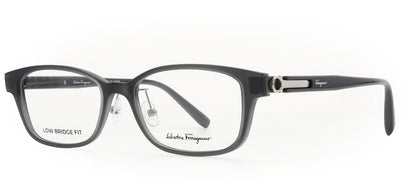 Image of Salvatore Ferragamo Eyewear Frames