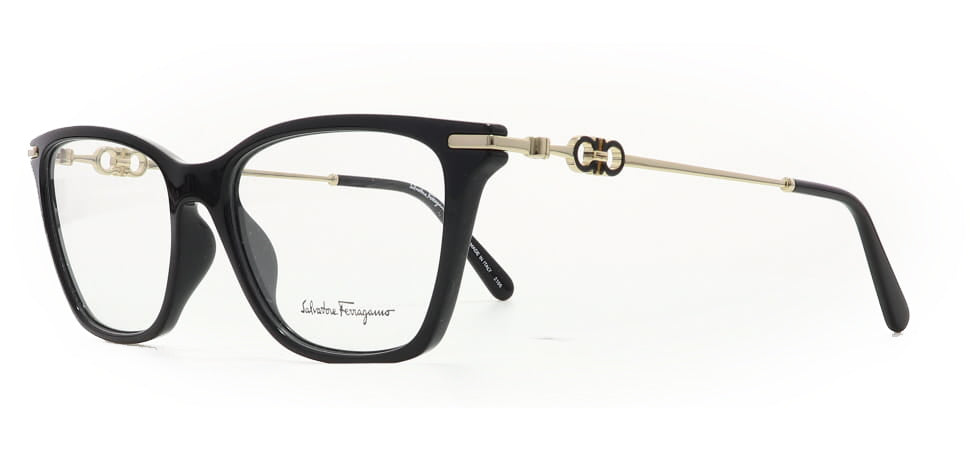 Image of Salvatore Ferragamo Eyewear Frames