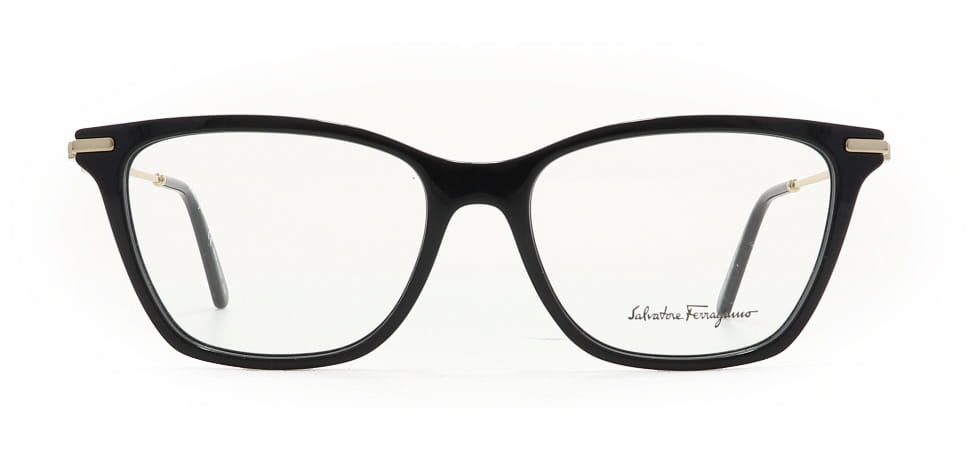 Image of Salvatore Ferragamo Eyewear Frames