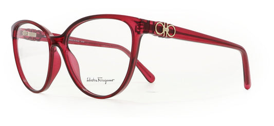 Image of Salvatore Ferragamo Eyewear Frames