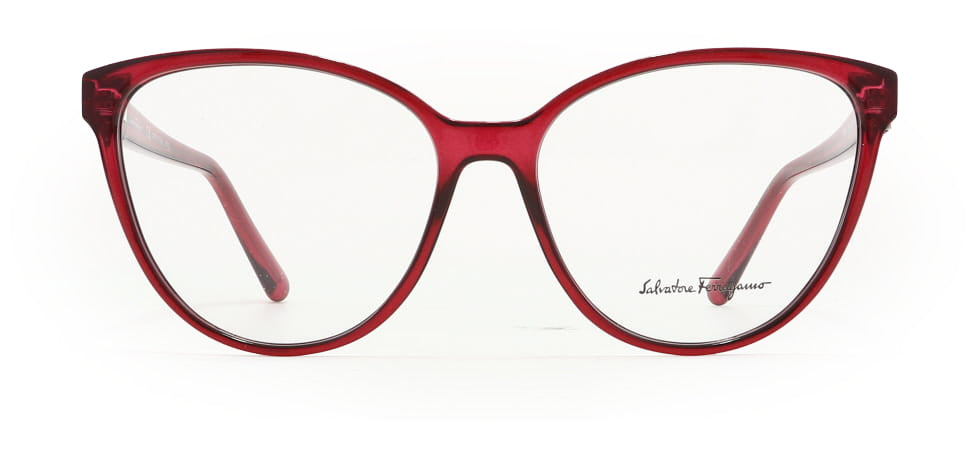 Image of Salvatore Ferragamo Eyewear Frames