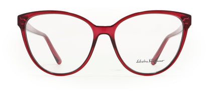 Image of Salvatore Ferragamo Eyewear Frames