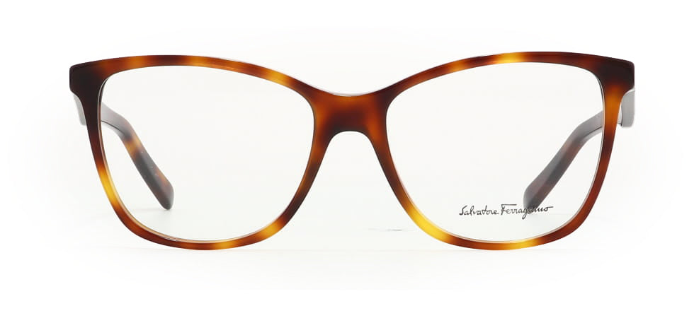 Image of Salvatore Ferragamo Eyewear Frames