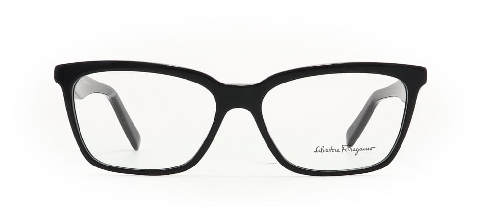 Image of Salvatore Ferragamo Eyewear Frames