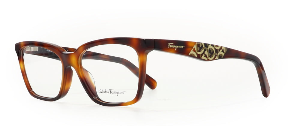 Image of Salvatore Ferragamo Eyewear Frames