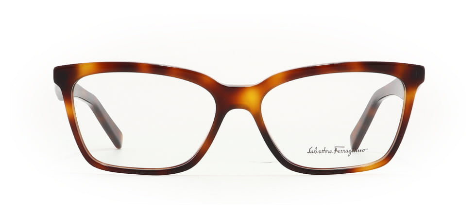 Image of Salvatore Ferragamo Eyewear Frames