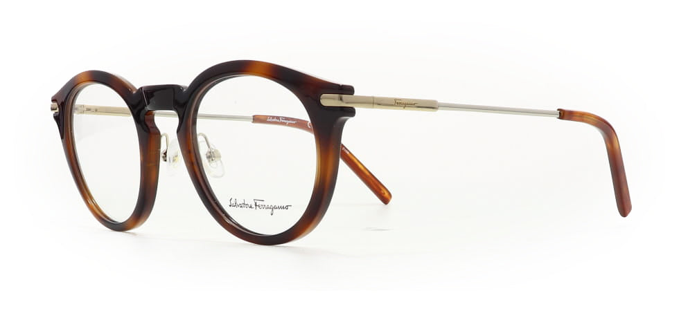 Image of Salvatore Ferragamo Eyewear Frames