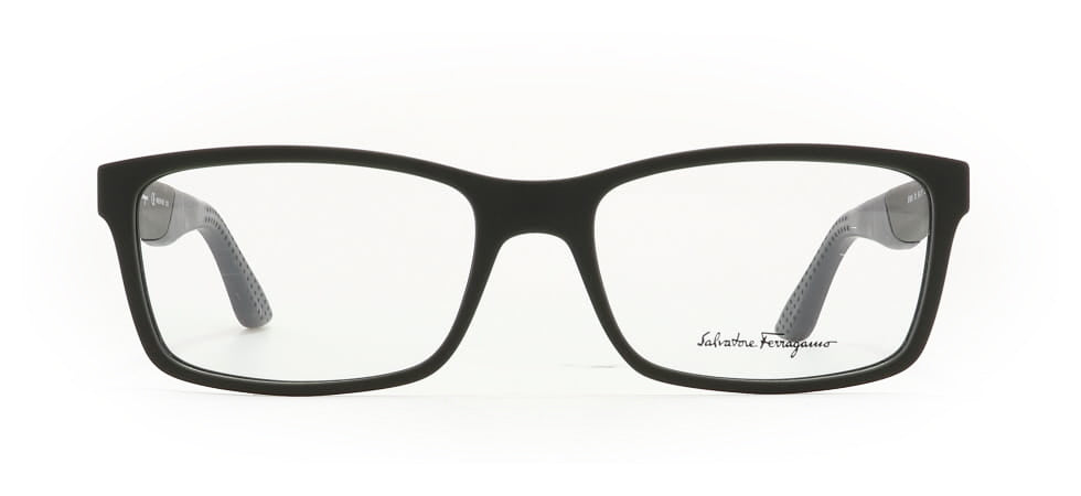 Image of Salvatore Ferragamo Eyewear Frames