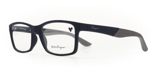 Image of Salvatore Ferragamo Eyewear Frames
