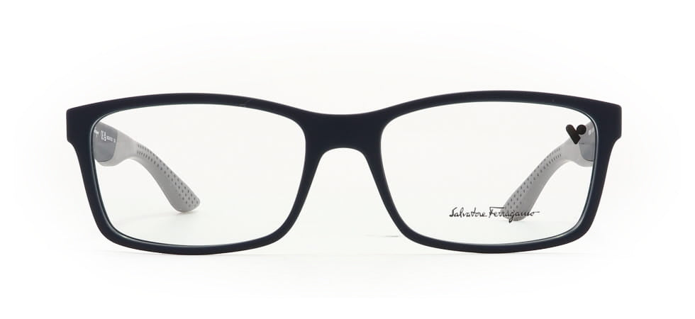Image of Salvatore Ferragamo Eyewear Frames
