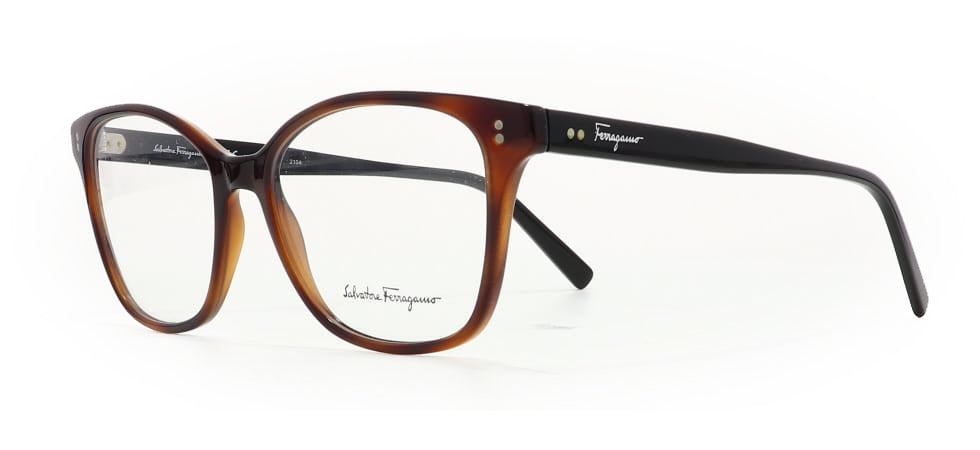 Image of Salvatore Ferragamo Eyewear Frames