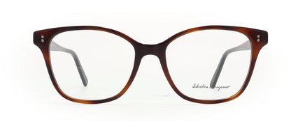 Image of Salvatore Ferragamo Eyewear Frames