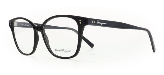 Image of Salvatore Ferragamo Eyewear Frames