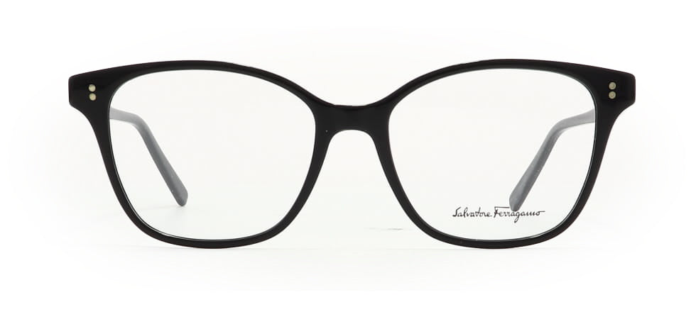 Image of Salvatore Ferragamo Eyewear Frames