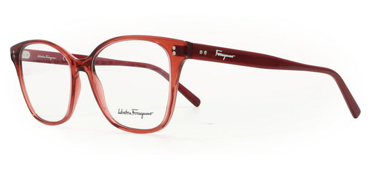 Image of Salvatore Ferragamo Eyewear Frames