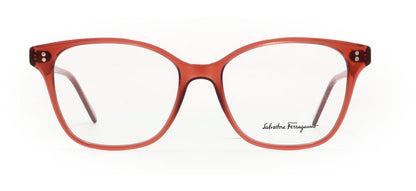 Image of Salvatore Ferragamo Eyewear Frames