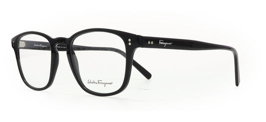 Image of Salvatore Ferragamo Eyewear Frames