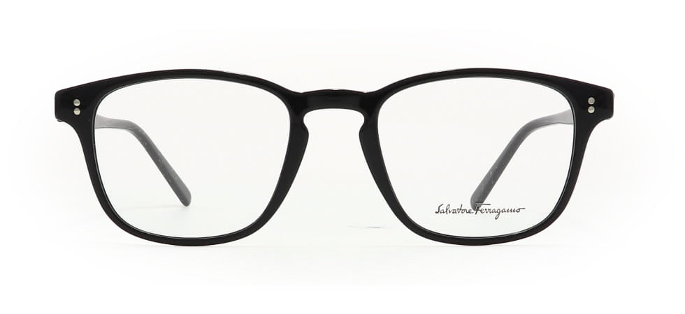 Image of Salvatore Ferragamo Eyewear Frames