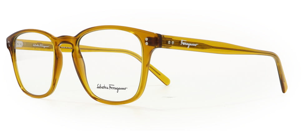 Image of Salvatore Ferragamo Eyewear Frames