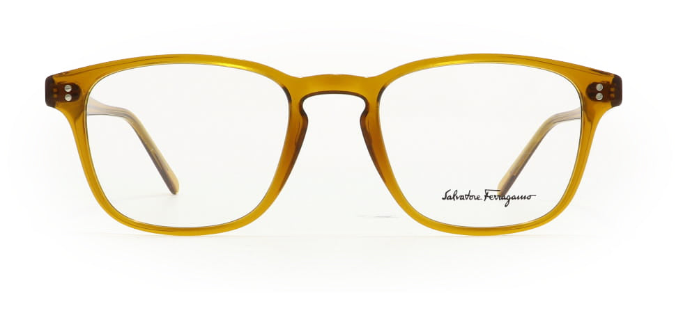 Image of Salvatore Ferragamo Eyewear Frames