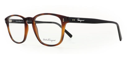 Image of Salvatore Ferragamo Eyewear Frames