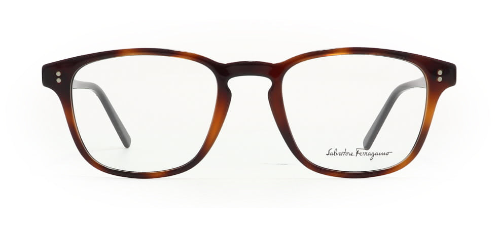 Image of Salvatore Ferragamo Eyewear Frames