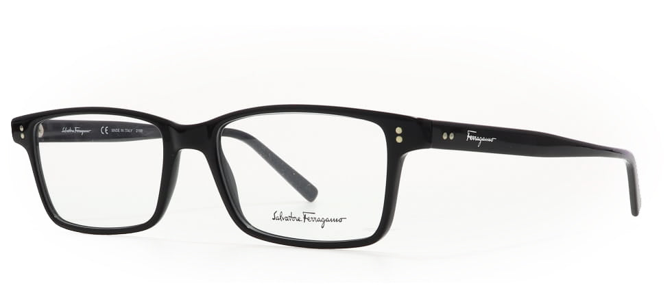 Image of Salvatore Ferragamo Eyewear Frames