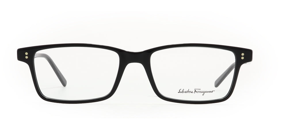 Image of Salvatore Ferragamo Eyewear Frames