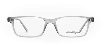 Image of Salvatore Ferragamo Eyewear Frames