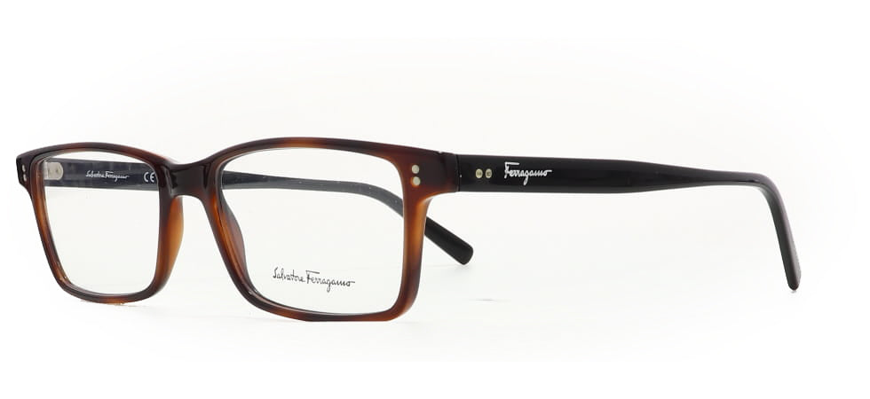 Image of Salvatore Ferragamo Eyewear Frames