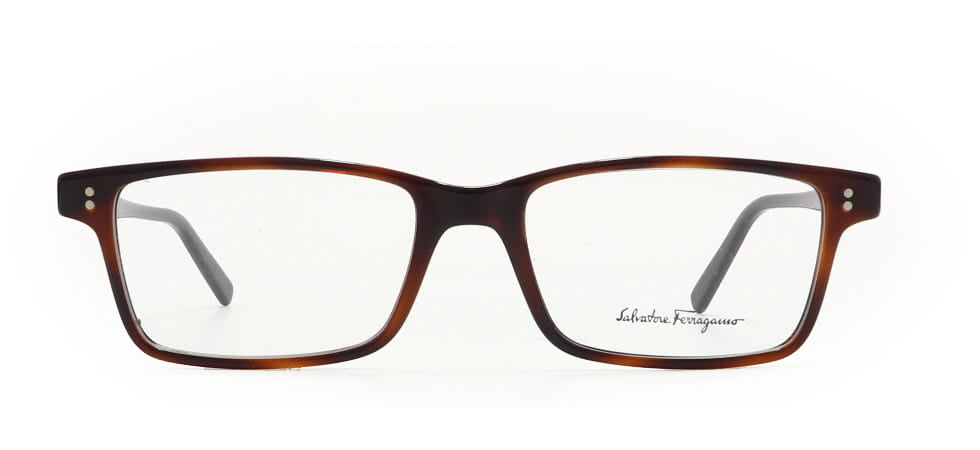 Image of Salvatore Ferragamo Eyewear Frames