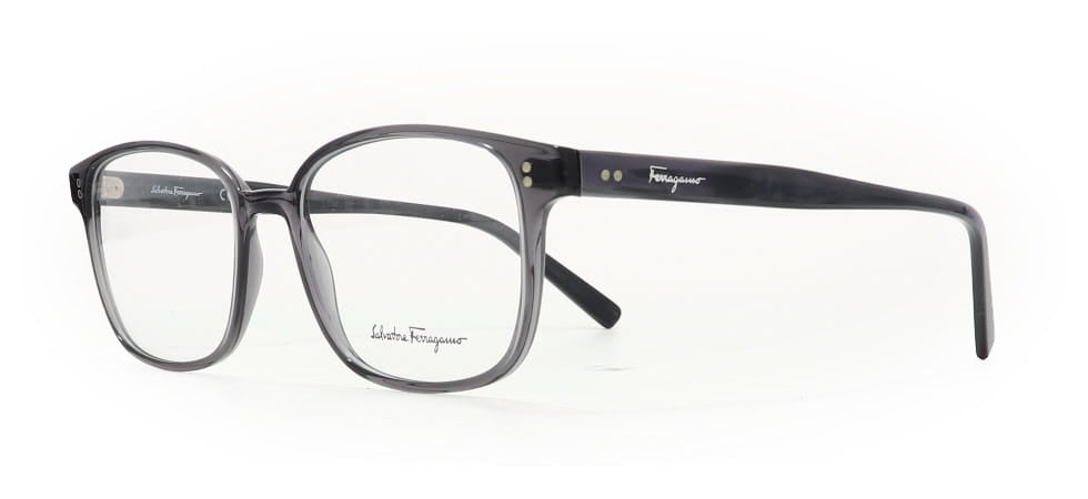 Image of Salvatore Ferragamo Eyewear Frames