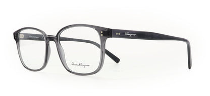 Image of Salvatore Ferragamo Eyewear Frames