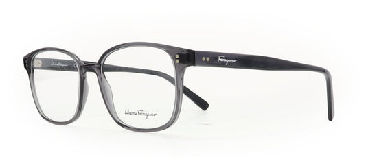 Image of Salvatore Ferragamo Eyewear Frames