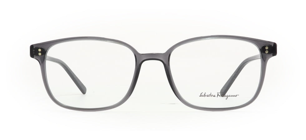 Image of Salvatore Ferragamo Eyewear Frames