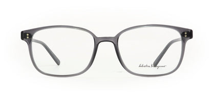 Image of Salvatore Ferragamo Eyewear Frames