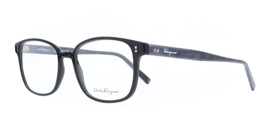 Image of Salvatore Ferragamo Eyewear Frames