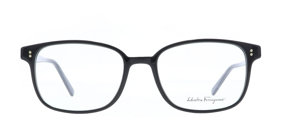 Image of Salvatore Ferragamo Eyewear Frames