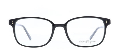 Image of Salvatore Ferragamo Eyewear Frames