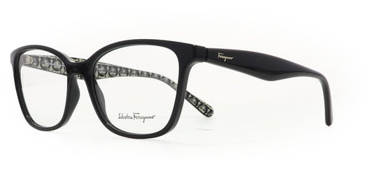 Image of Salvatore Ferragamo Eyewear Frames